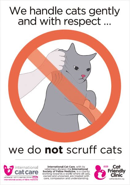 Pledge To Go Scruff Free International Cat Care