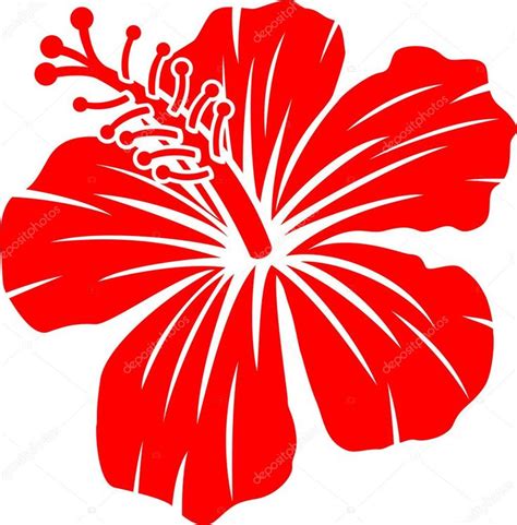 Beautiful Red Hibiscus Flower Flores De Hibisco Ilustración De Flor