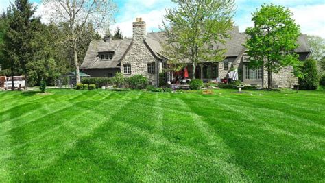How To Conduct A Comprehensive Lawn Care Assessment