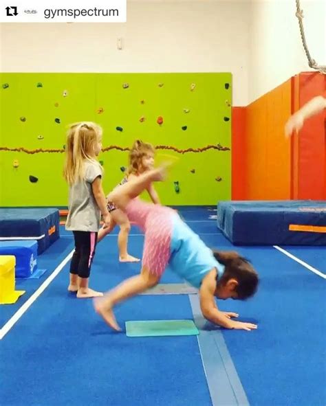 10 Ways To Get Beginner Gymnasts Ready For Handstands Recreational