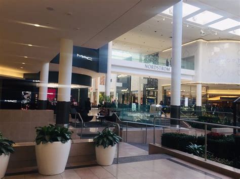 In 2019, piper jaffray ranked it in the top five clothing brands among teenagers. Sherway Gardens (Toronto) : 2020 Ce qu'il faut savoir pour ...