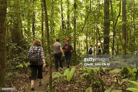 Ecotourism In The Amazon Rainforest Photos And Premium High Res