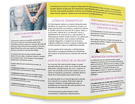 How A Pt Can Help Brochure Urinary Incontinence Spanish Illinois