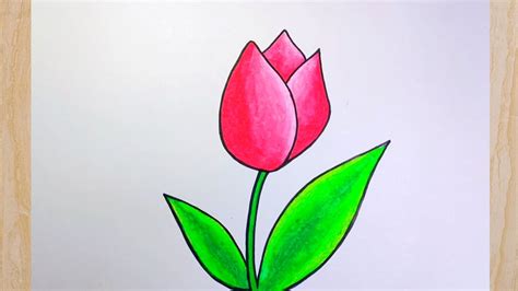 Cara Menggambar Bunga Tulip Cara Menggambar Bunga Youtube