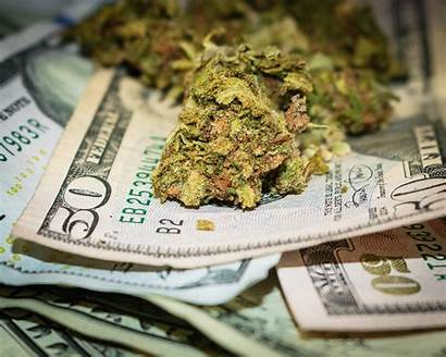 Marijuana Weed Money Cash Stocks Investment Fool