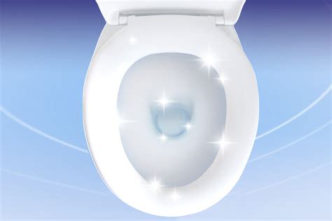 Toilet Cleaning From The Inside Out Cleanipedia Za