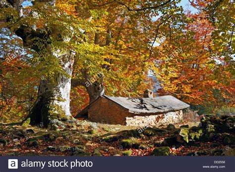 Cabin Autumn Tree Hi Res Stock Photography And Images Alamy