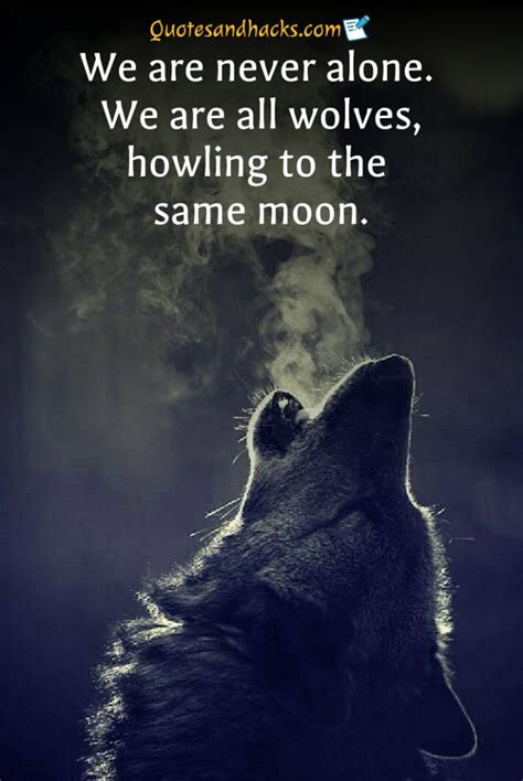 30 Lone Wolf Quotes That Will Trigger Your Mind Quotes And Hacks