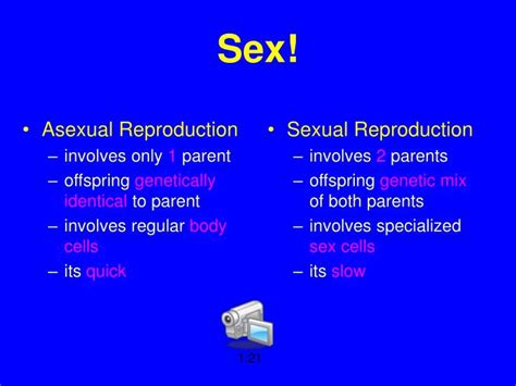Ppt Sex Powerpoint Presentation Free Download Id625177