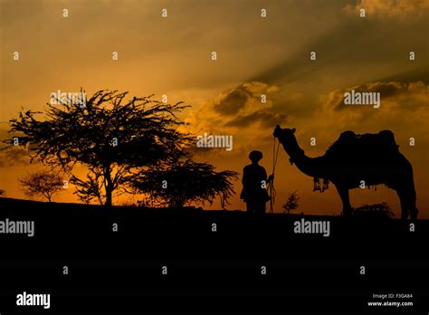 Silhouette Of The Camel Trader Crossing The Sand Dune During Sunset At