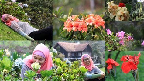 Kebun bunga instagramable yang terakhir merupakan sebuah area penelitian botani. Menikmati Alam di Kebun Raya Cibodas | My Secret Journey