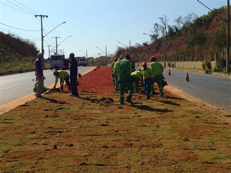 Fernando Cabrera Projeto “revitalizaÇÃo De PraÇas E Jardins” Realiza Trabalho Na Avenida