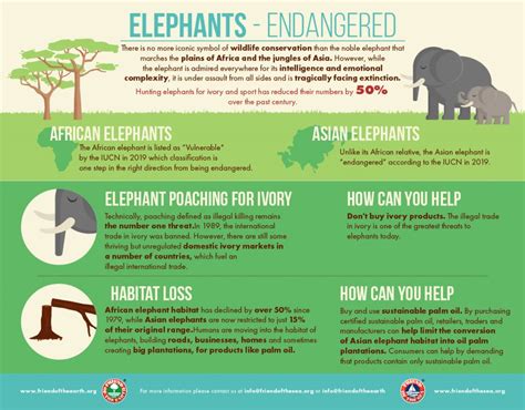 Save The Elephants Campaign Possible Solutions To Save Fos