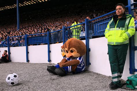 Jun 18, 2021 · he's become a free agent once again and plenty of sheffield wednesday fans have debated whether or not to bring him back to hillsborough. Ozzie and Barney Owl today... - SHEFFIELD WEDNESDAY ...