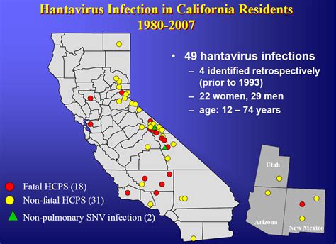 Hantaviruses belong to the bunyavirus family of viruses. Hantavirus Pulmonary Syndrome In California - Symptoms ...