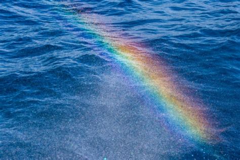 Water Spray Rainbow Free Stock Photo Public Domain Pictures