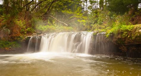 Kerosene Creek Hot Springs New Zealand Hotsprings Co