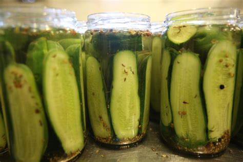 Pickling Tips From A Pro The Leonard Lopate Show Wqxr