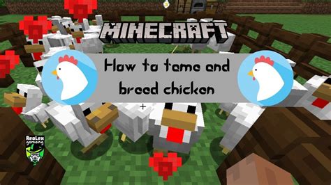 How To Breed And Tame Chicken In Minecraft Survival Mode Tutorial