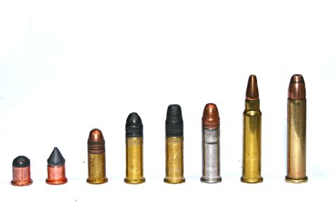 22 Ammo Types