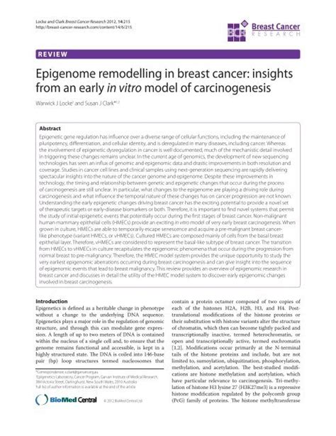 Pdf Breast Cancer Research