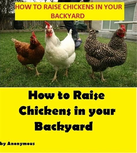 How To Raise Chickens In Your Backyard Chicken Farm Ebooks 9781102823469 Books