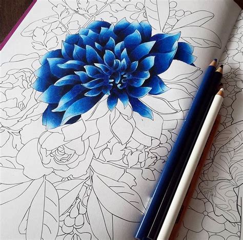 Pin By Ridhi Ramana On Coloring Books Flower Drawing Color Pencil
