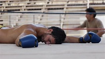 Knock Out Ko Latino Man Fighting In Boxing Stock Footage SBV-301757197 ...