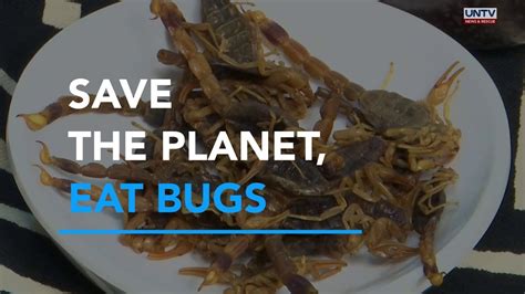 Are You Ready To Eat Insects Save The Planet Eat Bugs Untv Youtube