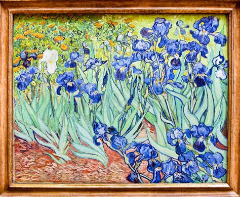 Van Gogh Iris Painting Getty Museum Los Angeles Original