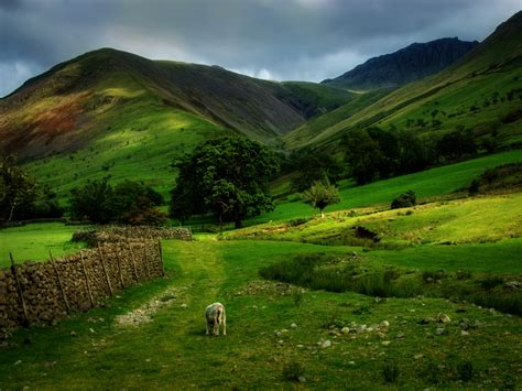 Hillside Wallpaper Scotland Nature Scotland Landscape Places To Go