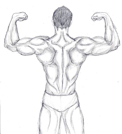 Back Muscle Practice By Bloodwolfgurl On Deviantart