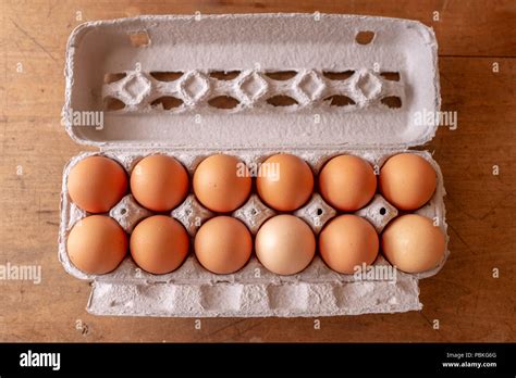 Carton Of One Dozen Eggs Stock Photo Alamy