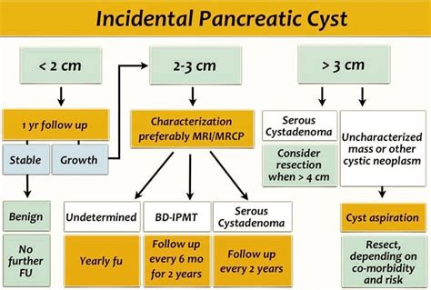 Imaging And Beyond On Instagram Incidental Pancreatic Cyst