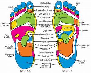 Foot Reflexology The Map Of The Human Body Schuhdealer Bloga Blog