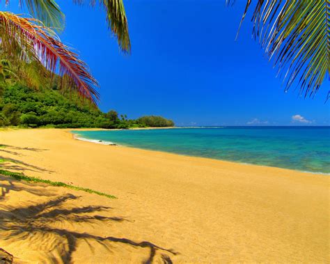 🔥 Free Download Wallpaper Hawaii Meer Sand Palmen Sommer Groe 1280x1024
