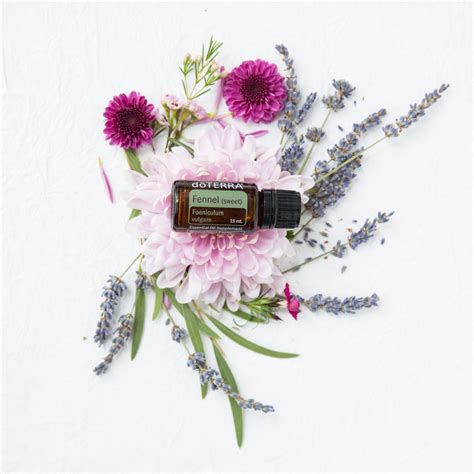Fennel Oil Uses And Benefits Dōterra Essential Oils Fennel