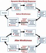 Pictures of Types Of Meditation Pdf