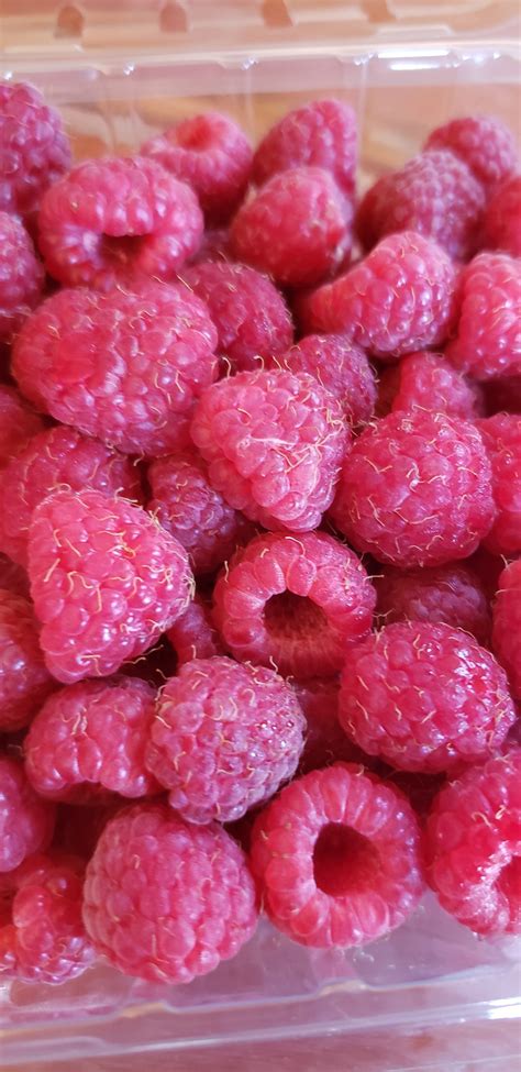 Raspberries Per Pint Leroux Produce