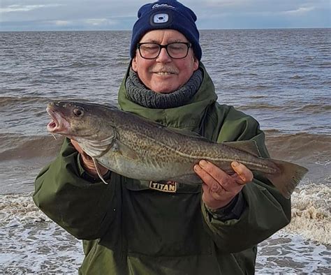 Cod Hit The Lancashire Beaches Planet Sea Fishing