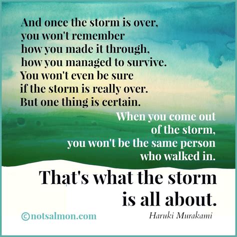 You Will Not Be The Same After The Storms Of Life You Will Be Stronger