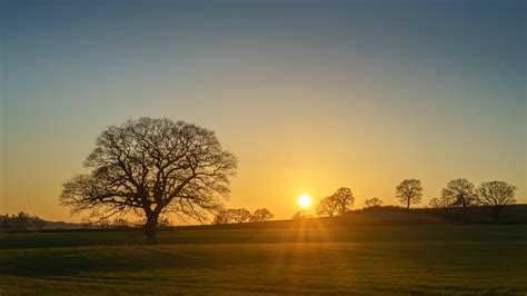 Lone Tree At Sunset By Jarvasm Ephotozine