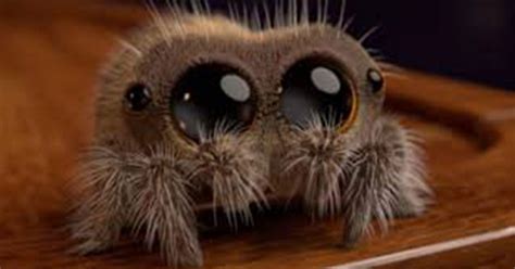 Lucas The Spider New Video Lucas The Spider Cute Fantasy Creatures