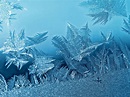 Frost HD Wallpaper