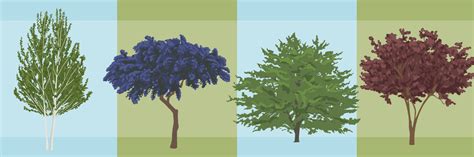 Selecting The Right Tree For Your Garden