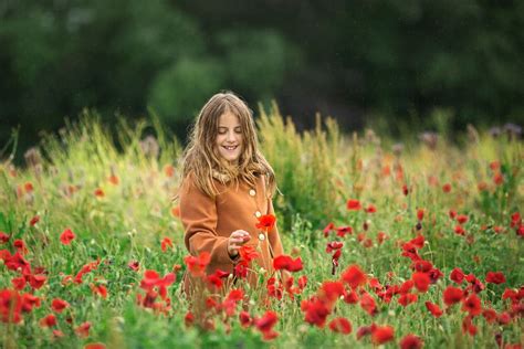 amazing poppy photo shoot background