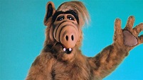 "Alf" is the latest 1980s sitcom to get a TV reboot — Quartz