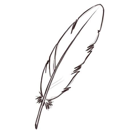 How To Draw A Feather 8 Steps With Pictures Wikihow Feather