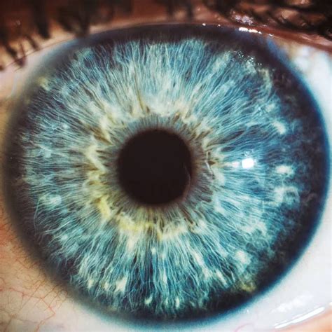 Macro Photo Human Eye Iris Pupil Eye Lashes Eye Lids Stock Photo By