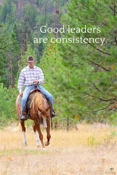 Want To Become Consistent With Your Horse If So Hold Your Horse